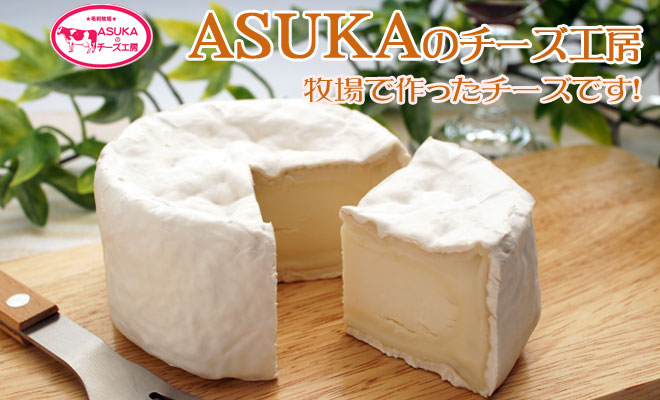 ASUKA�̃`�[�Y�H�[