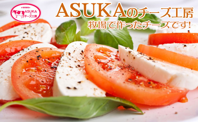 ASUKA�̃`�[�Y�H�[