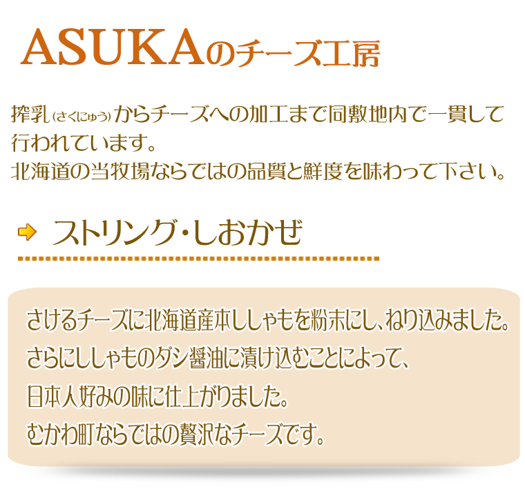 ASUKA�̃`�[�Y�H�[�X�g�����O�`�[�Y�E�������